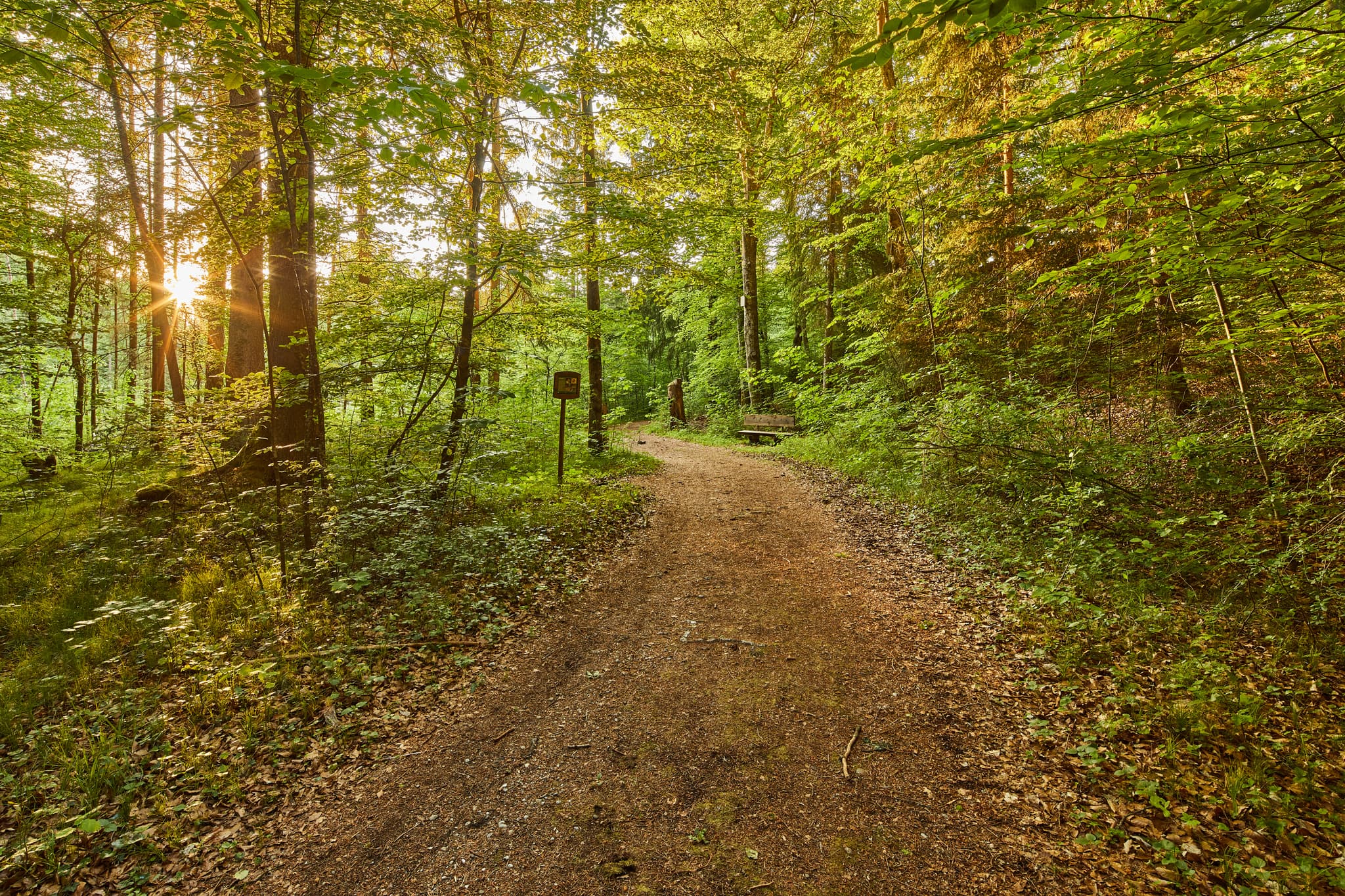 Klosterau, Walderlebnispfad Alz Au, Altötting, Oberbayern - Ein idyllischer Walderlebnispfad in Klosterau, Gemeinde Mehring, Landkreis Altötting, Oberbayern, Deutschland, Region Inn-Salzach.