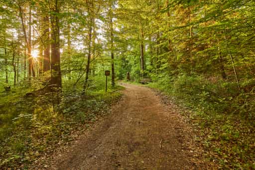 Klosterau, Walderlebnispfad Alz Au, Altötting, Oberbayern