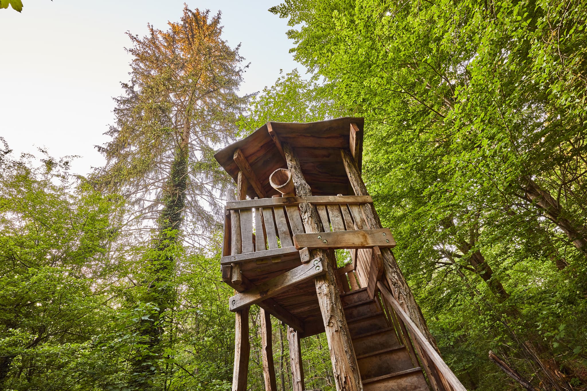 Klosterau Walderlebnispfad Alz Au, Mehring, Altötting - Holzstruktur am Walderlebnispfad Alz Au, Mehring, Landkreis Altötting, Oberbayern. Waldlandschaft in der Region Inn-Salzach, Deutschland.