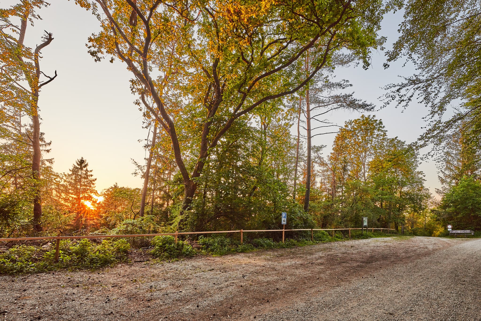 Klosterau Walderlebnispfad Alz Au, Mehring, Altötting - Dieser Waldweg des Klosterau Walderlebnispfads in Mehring, Altötting (Oberbayern, Deutschland) zeigt eine naturnahe Landschaft im Inn-Salzach-Gebiet.