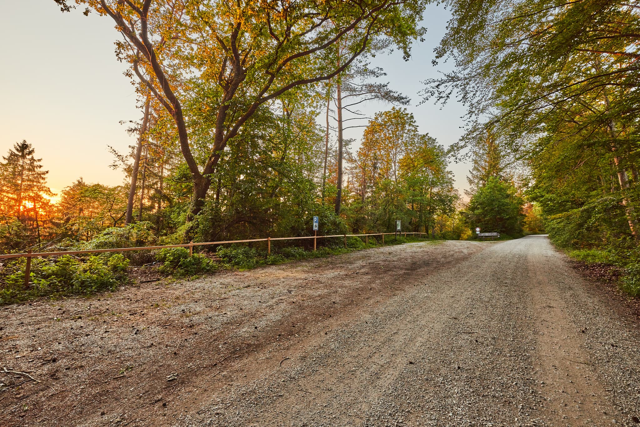 Klosterau Walderlebnispfad Alz Au, Mehring, Altötting - Dieser Waldweg des Klosterau Walderlebnispfads in Mehring, Altötting (Oberbayern, Deutschland) zeigt eine naturnahe Landschaft im Inn-Salzach-Gebiet.