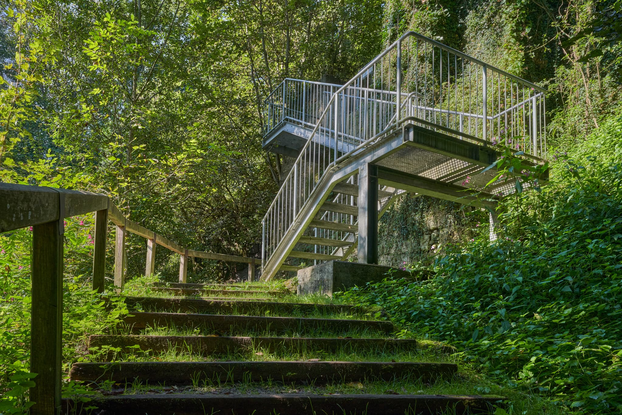 Klostersteig, Raitenhaslach, Burghausen, Landkreis Altötting - Treppe im Wald am Klostersteig bei Raitenhaslach, Gemeinde Burghausen, Landkreis Altötting, Oberbayern, Region Inn-Salzach, Bayern, Deutschland.