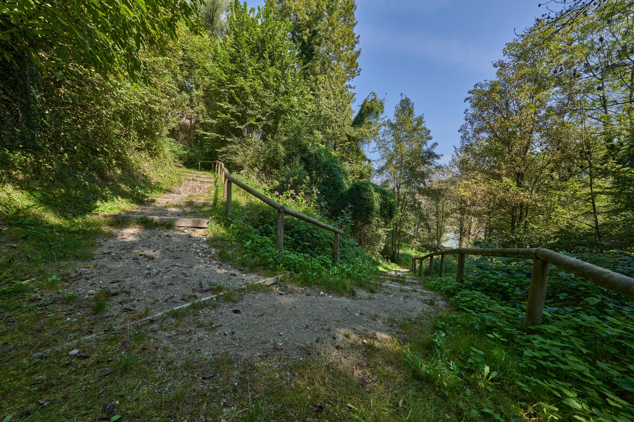 Klostersteig, Raitenhaslach, Burghausen, Landkreis Altötting - Klostersteig Wanderweg im Wald bei Raitenhaslach, Burghausen, Landkreis Altötting, Oberbayern, Region Inn-Salzach, Bayern.
