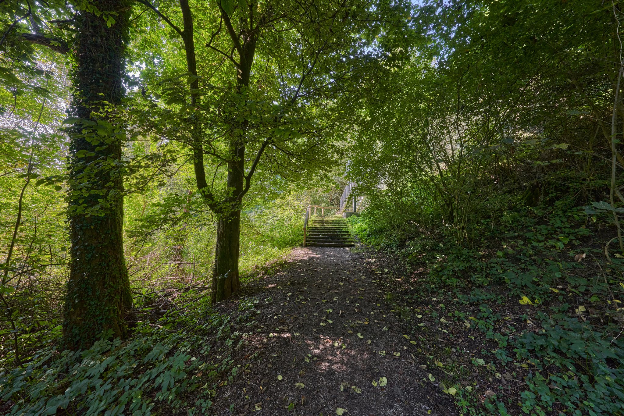 Klostersteig, Raitenhaslach, Burghausen, Landkreis Altötting - Waldweg mit Treppe am Klostersteig in Raitenhaslach, Gemeinde Burghausen, Landkreis Altötting, Oberbayern, Region Inn-Salzach, Bayern, Deutschland.