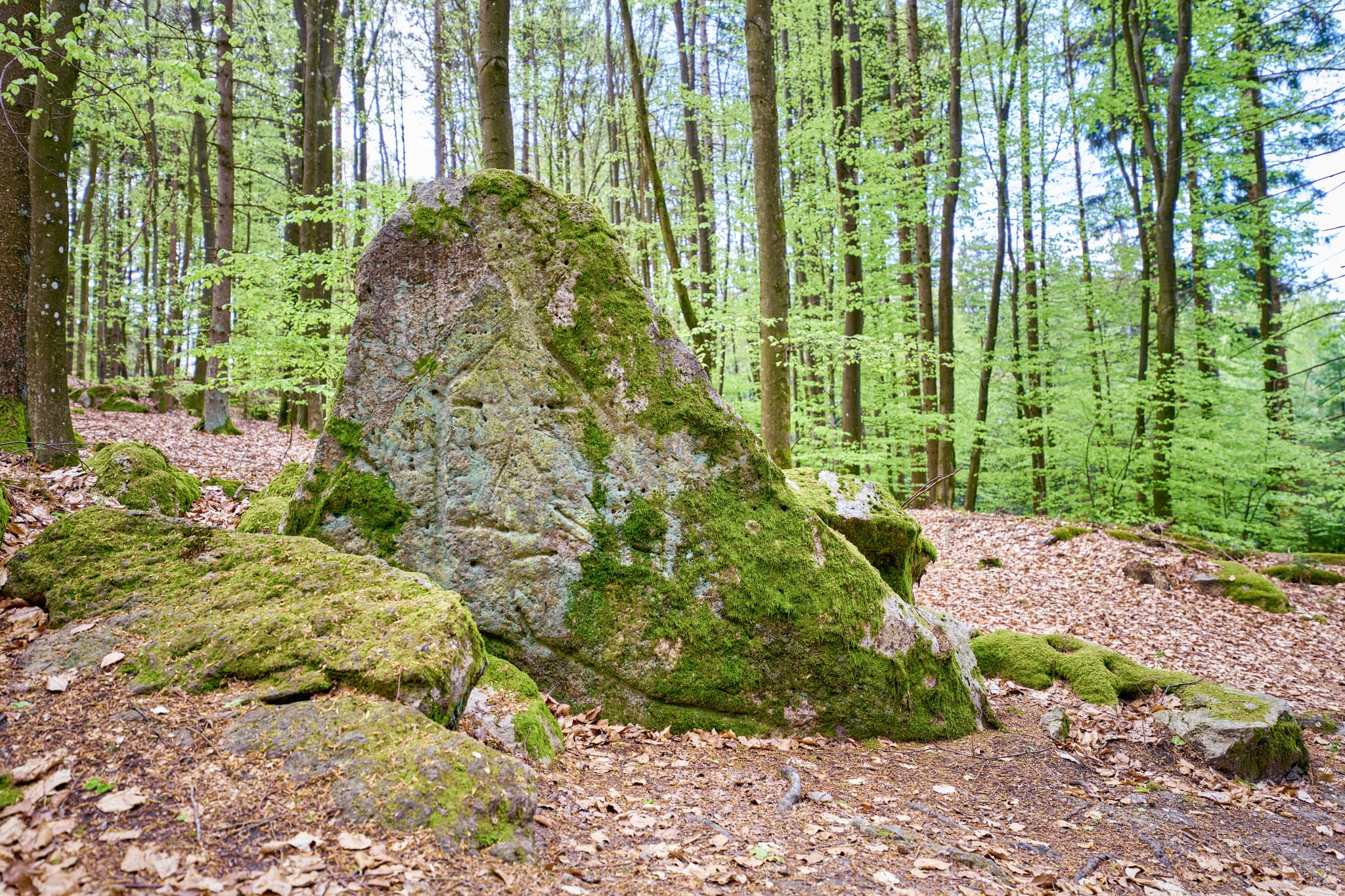 Kultstein, St. Salvator, Bad Griesbach, Passau - Bild zeigt einen Kultstein im Wald bei St. Salvator, Bad Griesbach, Passau, Niederbayern, Bayern, Deutschland. Der Kultschein ist ein bewachsener Felsen.
