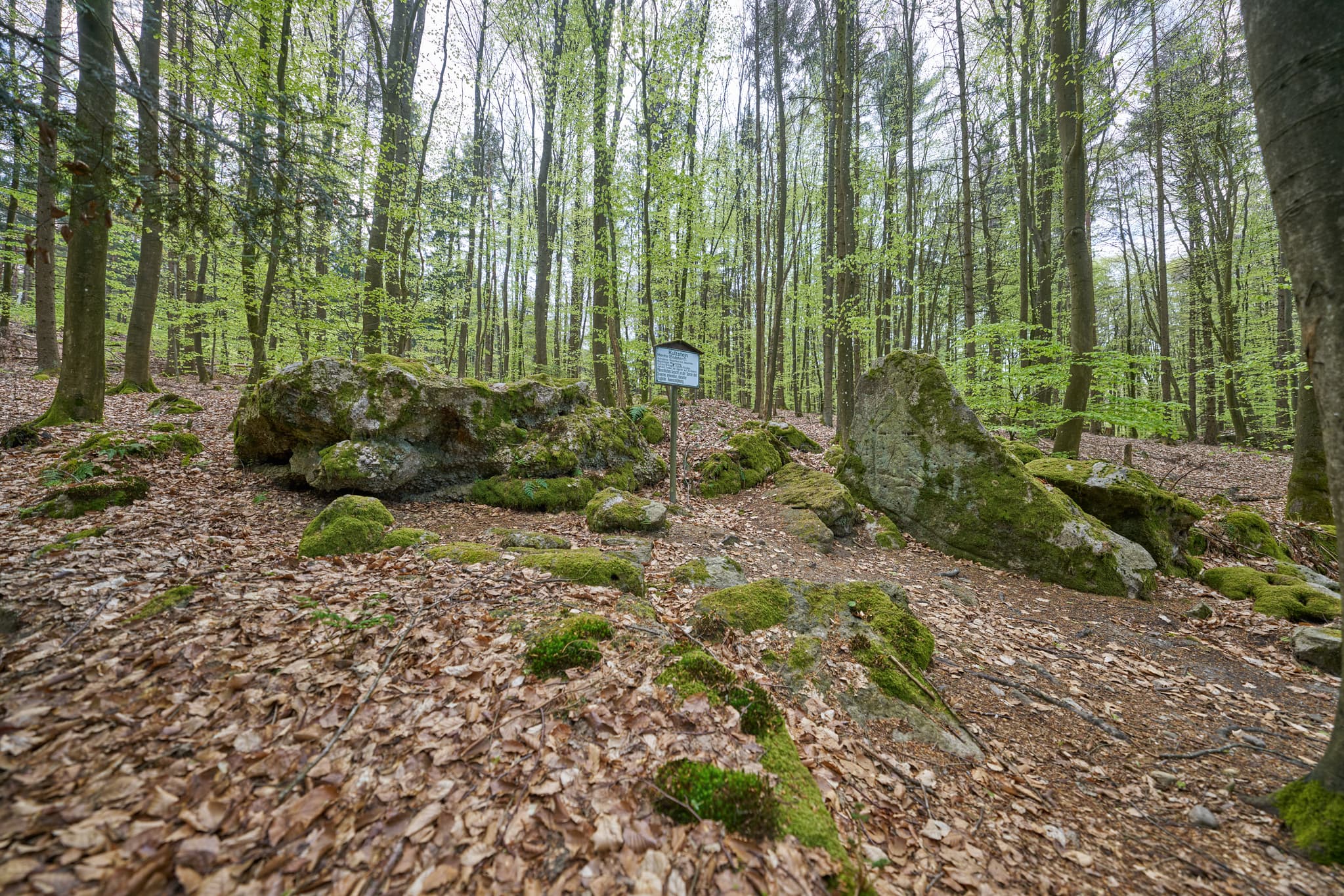 Kultstein, St. Salvator, Bad Griesbach, Passau - Bild zeigt einen Kultstein im Wald bei St. Salvator, Bad Griesbach, Passau, Niederbayern, Bayern, Deutschland. Der Kultschein ist ein bewachsener Felsen.