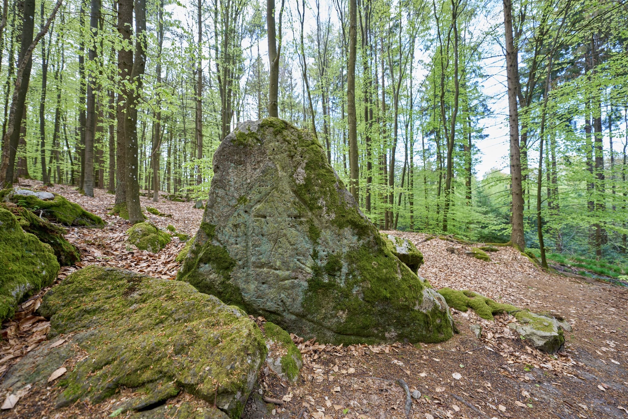 Kultstein, St. Salvator, Bad Griesbach, Passau - Bild zeigt einen Kultstein im Wald bei St. Salvator, Bad Griesbach, Passau, Niederbayern, Bayern, Deutschland. Der Kultschein ist ein bewachsener Felsen.