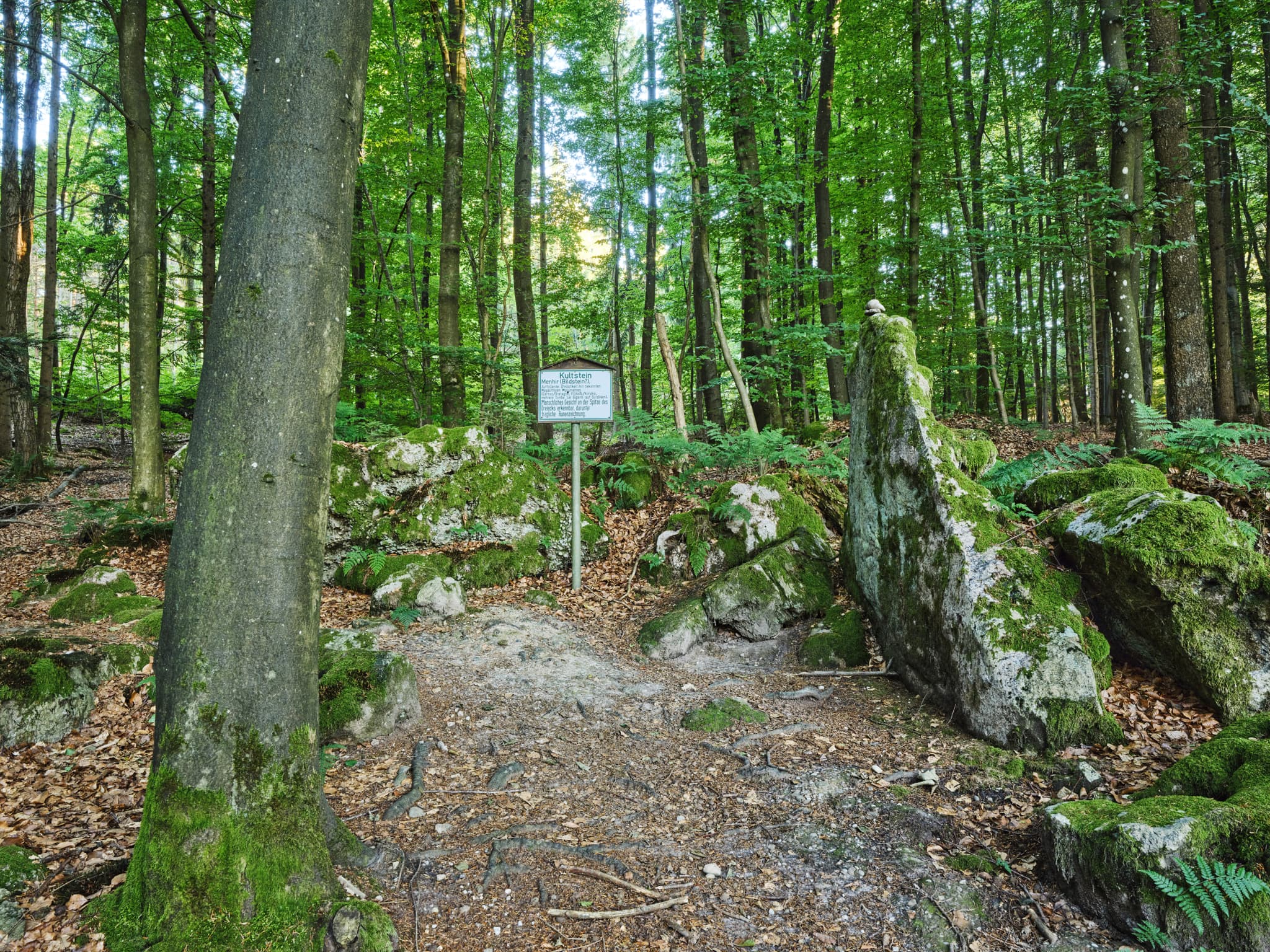 Kultstein, St. Salvator, Bad Griesbach, Passau - Bild zeigt einen Kultstein im Wald bei St. Salvator, Bad Griesbach, Passau, Niederbayern, Bayern, Deutschland. Der Kultschein ist ein bewachsener Felsen.