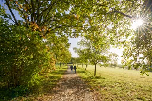 Kurpark Herbst Bad Griesbach, Niederbayern, Bäderdreieck