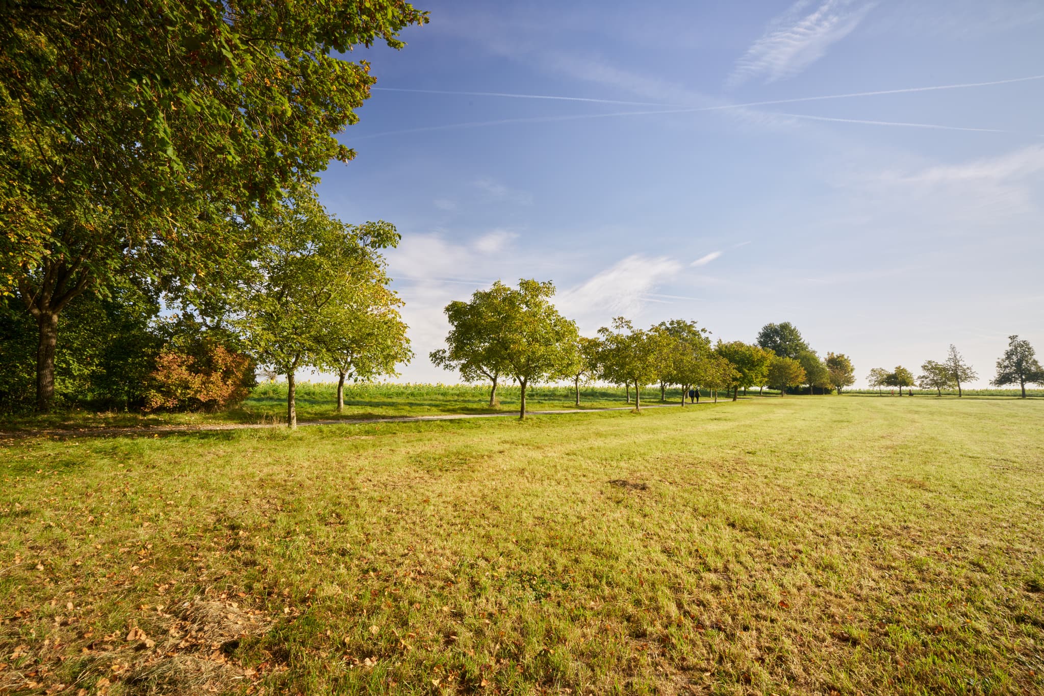 Kurpark Herbst Bad Griesbach, Passau, Niederbayern - Herbstliche Ansicht des Kurparks der Therme in Bad Griesbach im Rottal, Landkreis Passau, Niederbayern, Deutschland. Eine idyllische Landschaft.
