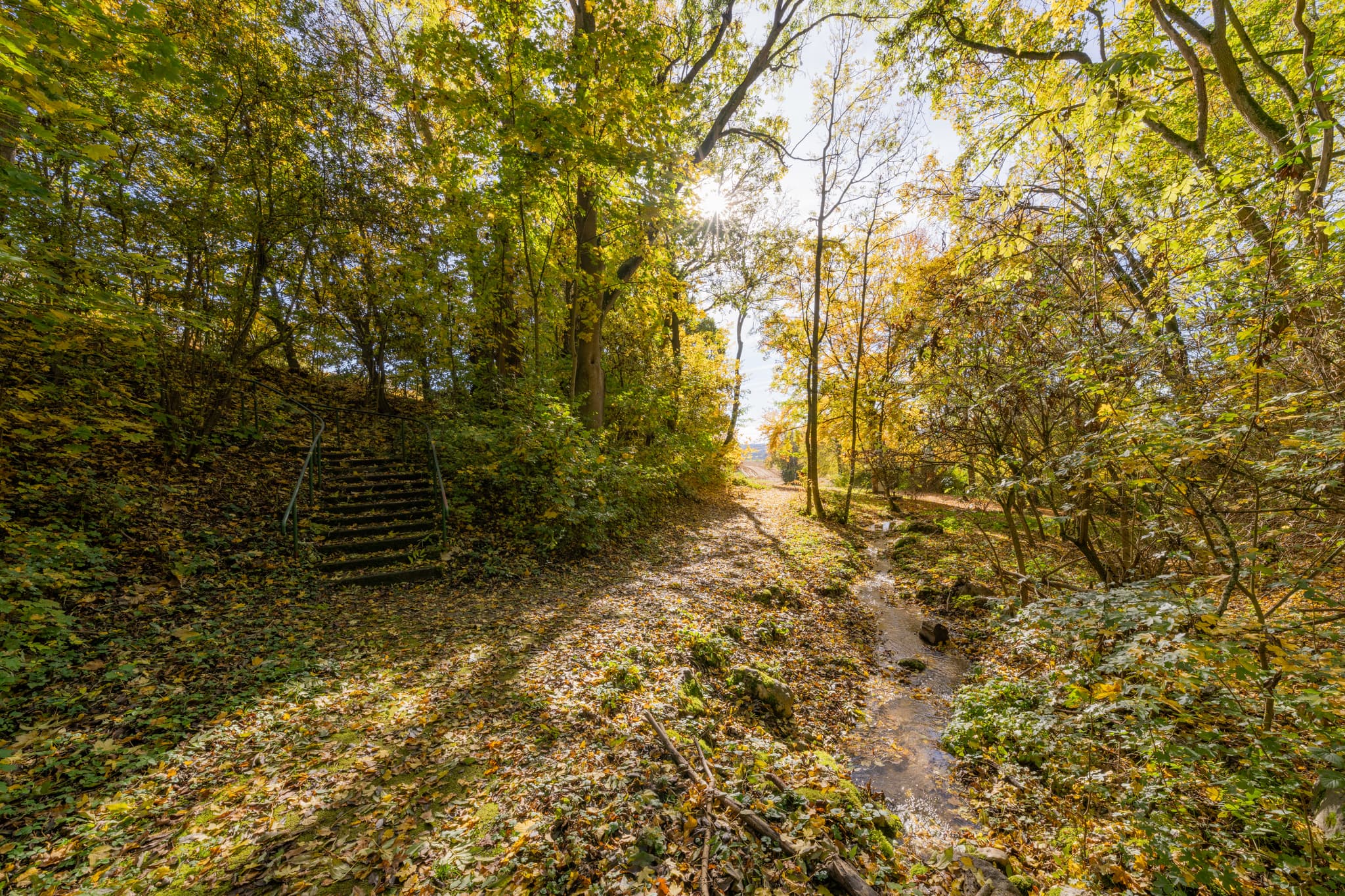 Kurpark Herbst Bad Griesbach, Passau, Niederbayern - Herbstliche Impressionen Kurpark in Bad Griesbach im Rottal, Landkreis Passau, Niederbayern, Deutschland. Malerischer Park mit bunten Blättern.