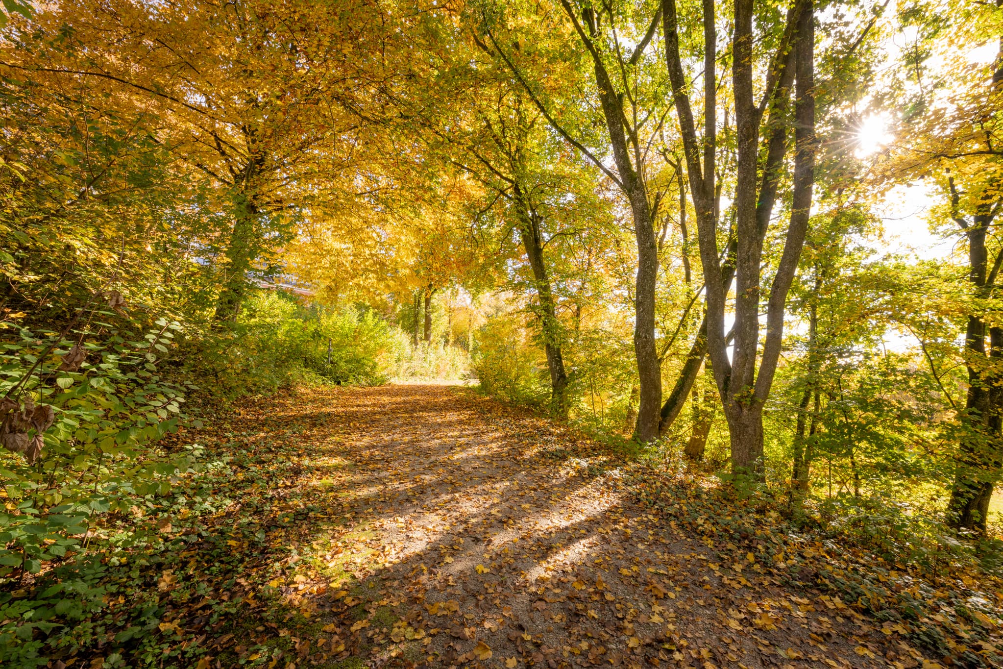 Kurpark Herbst Bad Griesbach, Passau, Niederbayern - Idyllischer Herbsttag im Kurpark Bad Griesbach im Rottal, Landkreis Passau, Niederbayern, Deutschland. Einladende Natur im Bäderdreieck.