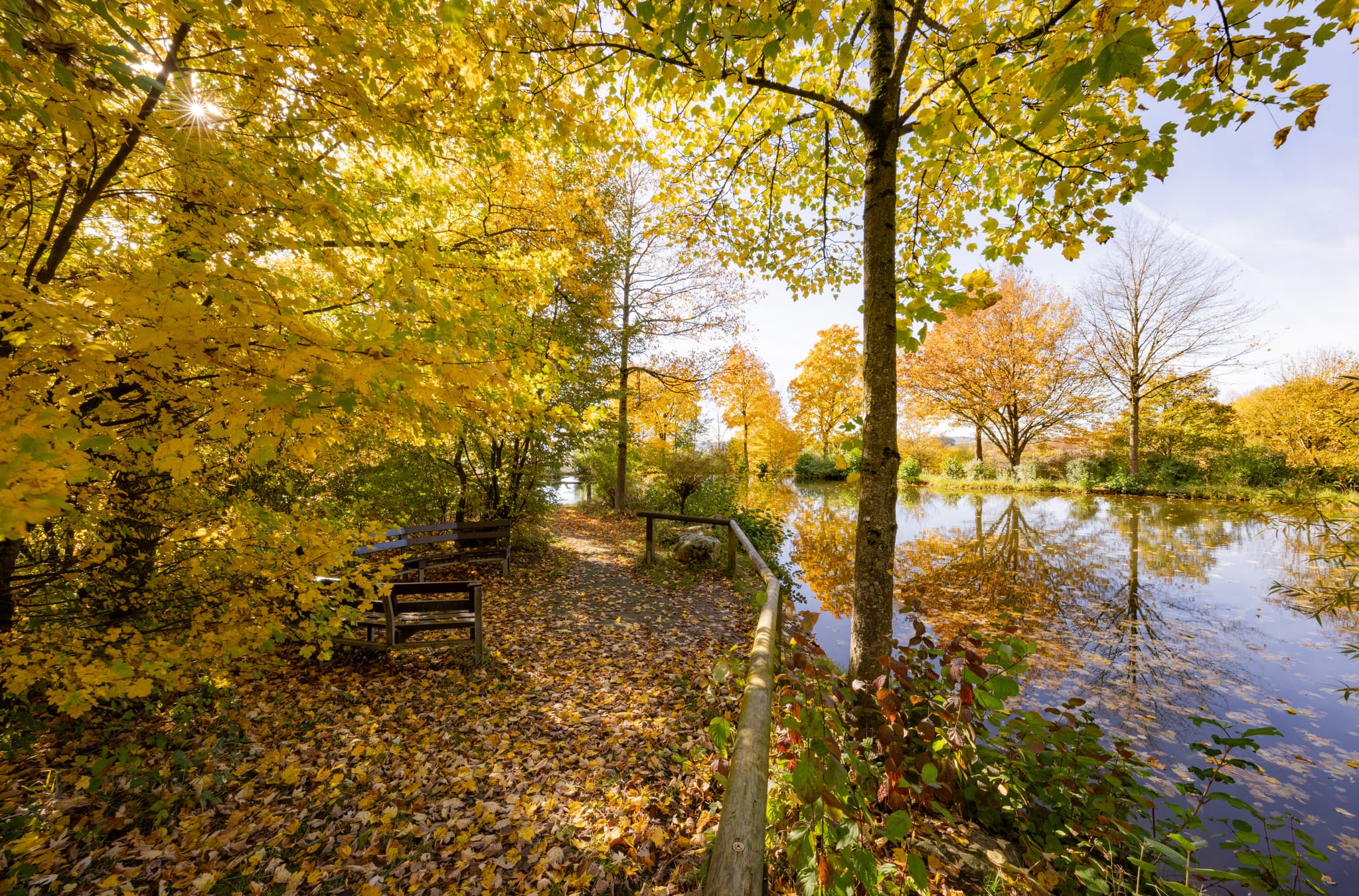 Kurpark im Herbst, Bad Griesbach, Passau, Bäderdreieck - Kurpark in Bad Griesbach im Rottal, Landkreis Passau, Niederbayern, Deutschland. Farbenprächtiger Herbst mit See und goldener Laubfärbung.