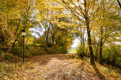 Kurpark im Herbst, Bad Griesbach, Passau, Niederbayern