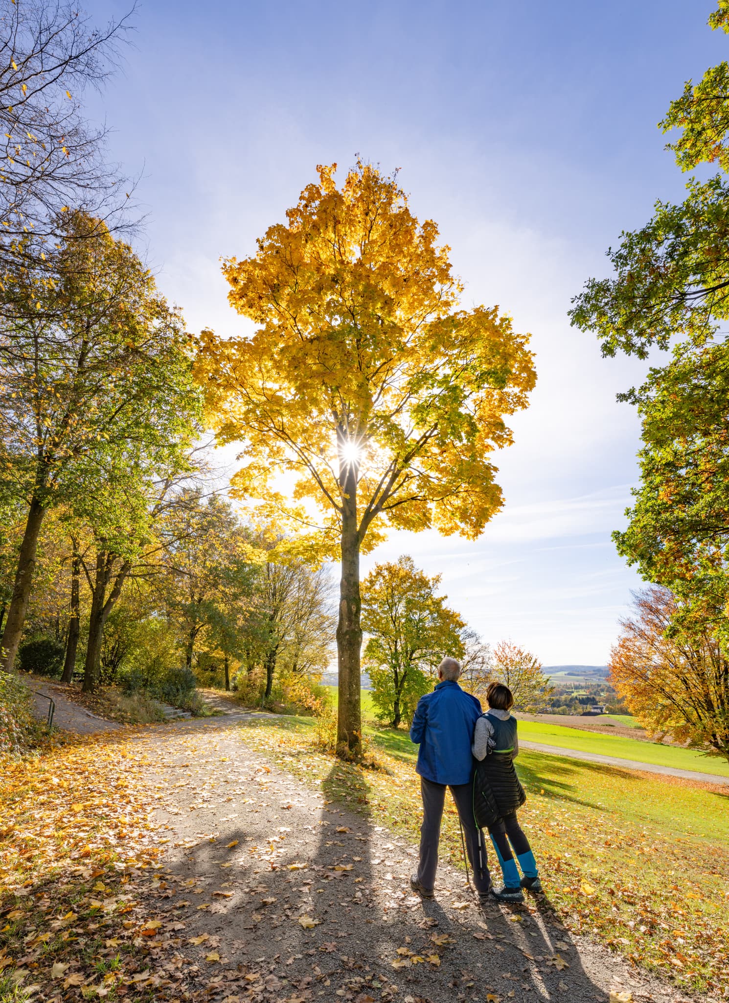 Kurpark im Herbst, Bad Griesbach, Passau, Niederbayern - Herbst im Kurpark Bad Griesbach, Landkreis Passau, Niederbayern, Deutschland. Spaziergänger genießen die goldene Jahreszeit im malerischen Bäderdreieck.