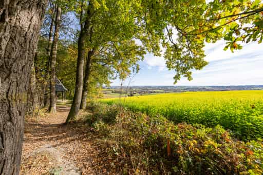 Kurpark Pavillon Herbst, Bad Griesbach, Passau, Niederbayern