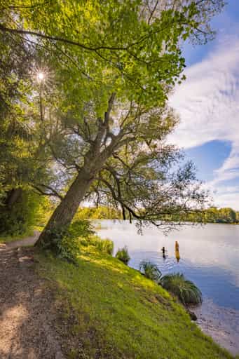 Lago im Sommer, Badesee Simbach, Waldsee, Rottal-Inn