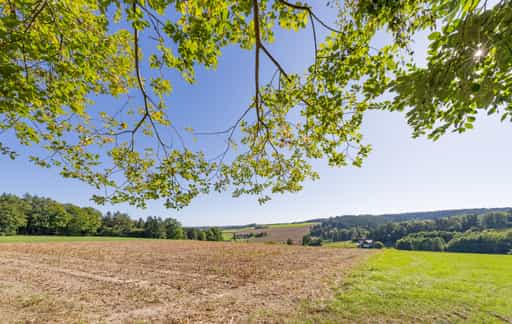 Landschaft am Wanderweg 2, Guteneck, Lapperding, Apfelbach