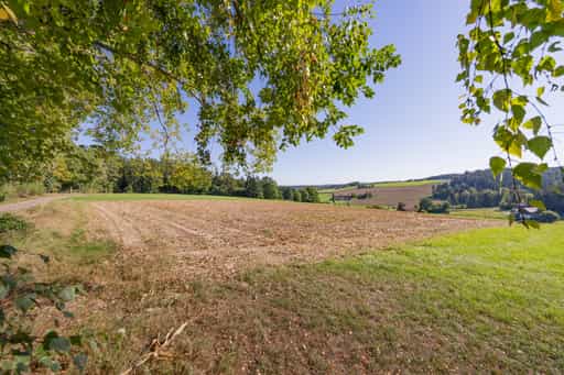 Landschaft am Wanderweg 2, Guteneck, Lapperding, Apfelbach