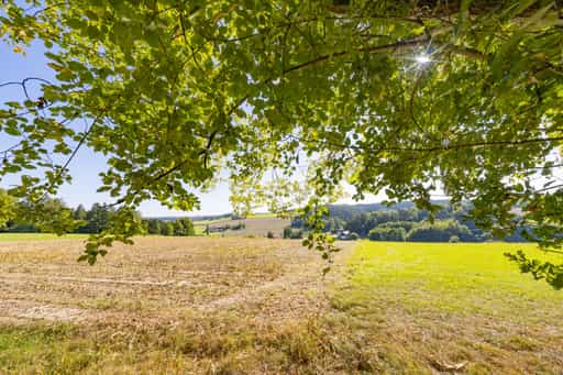 Landschaft am Wanderweg 2, Guteneck, Lapperding, Apfelbach