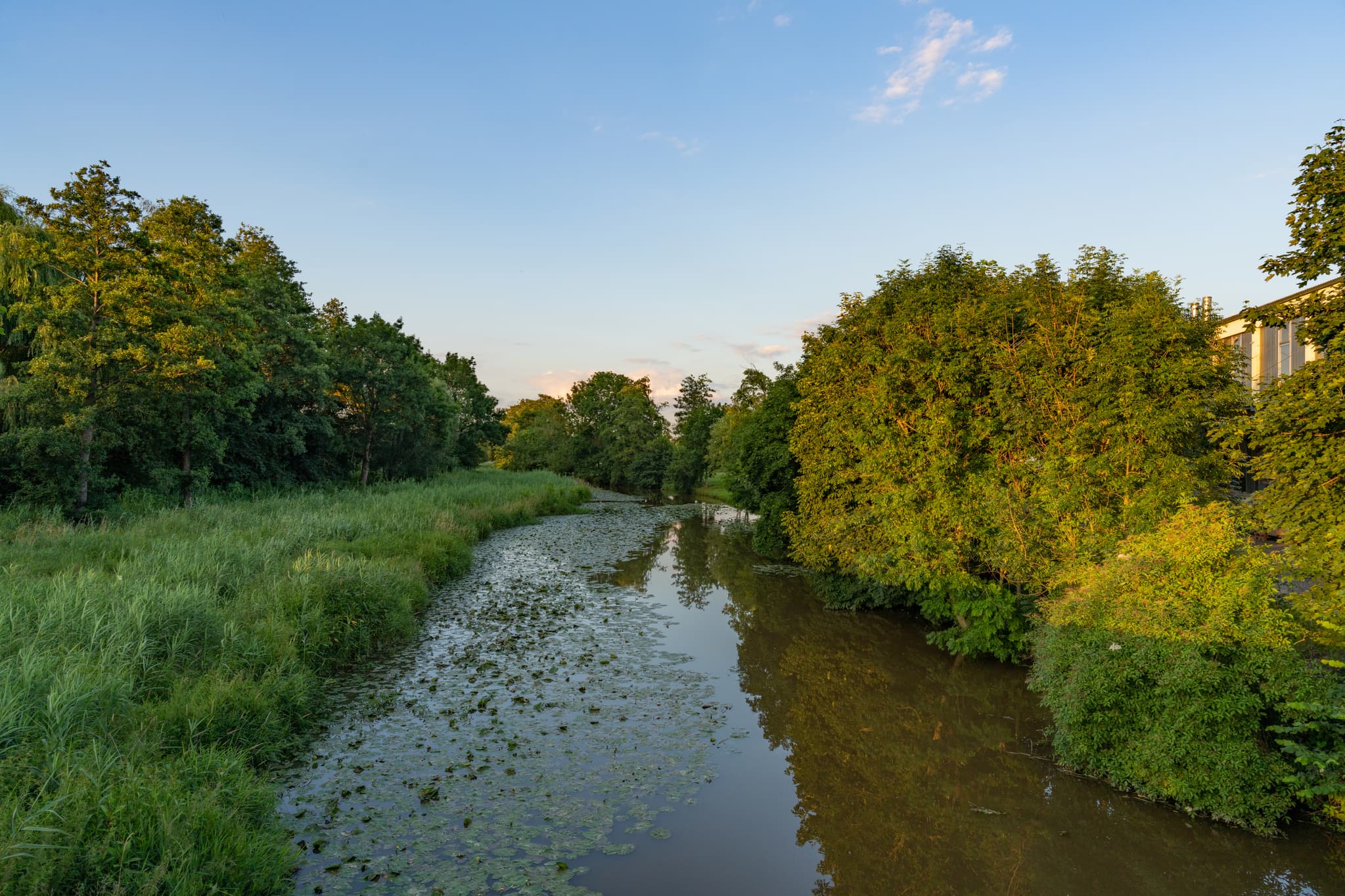Landschaft an der Rott, Massing, Landkreis Rottal-Inn - Landschaftliche Aufnahme an der Rott bei Massing, Rottal-Inn, Niederbayern, Bayern, Deutschland. Rott mit Ufervegetation bei Sonnenuntergang.