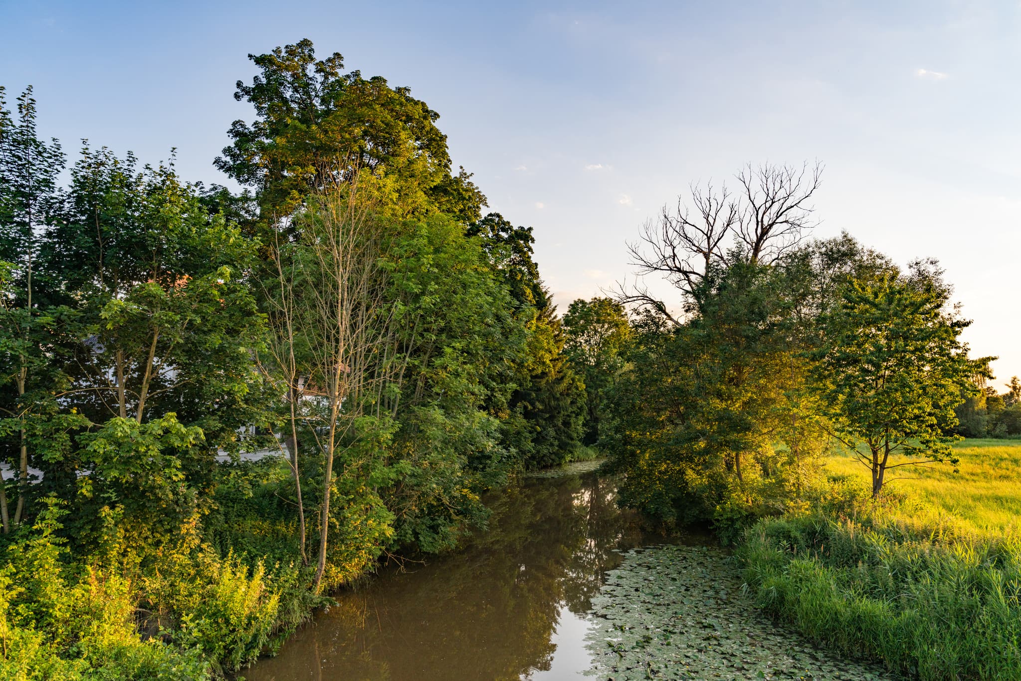 Landschaft an der Rott, Massing, Landkreis Rottal-Inn - Landschaftliche Aufnahme an der Rott bei Massing, Rottal-Inn, Niederbayern, Bayern, Deutschland. Rott mit Ufervegetation bei Sonnenuntergang.