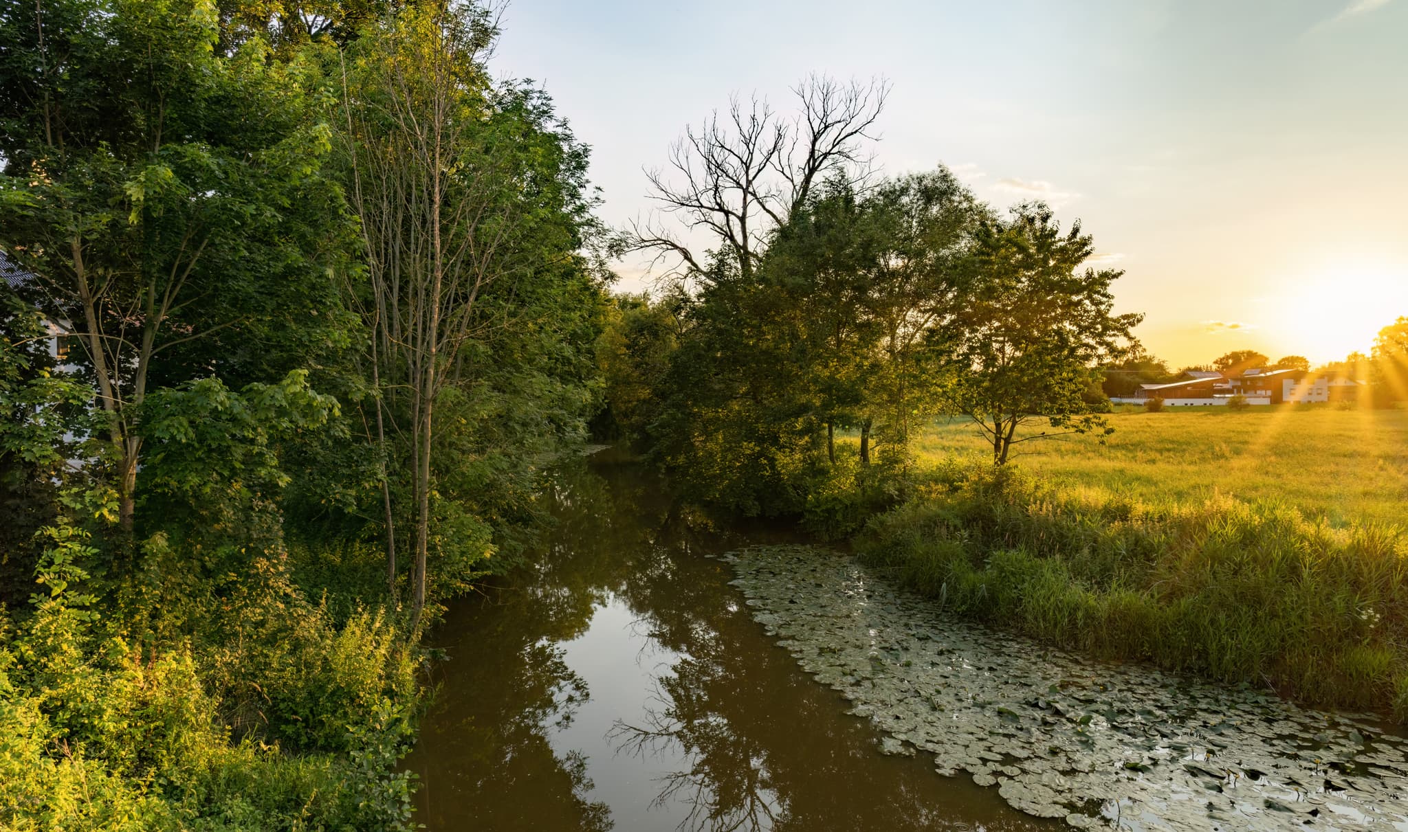 Landschaft an der Rott, Massing, Landkreis Rottal-Inn - Landschaftliche Aufnahme an der Rott bei Massing, Rottal-Inn, Niederbayern, Bayern, Deutschland. Rott mit Ufervegetation bei Sonnenuntergang.