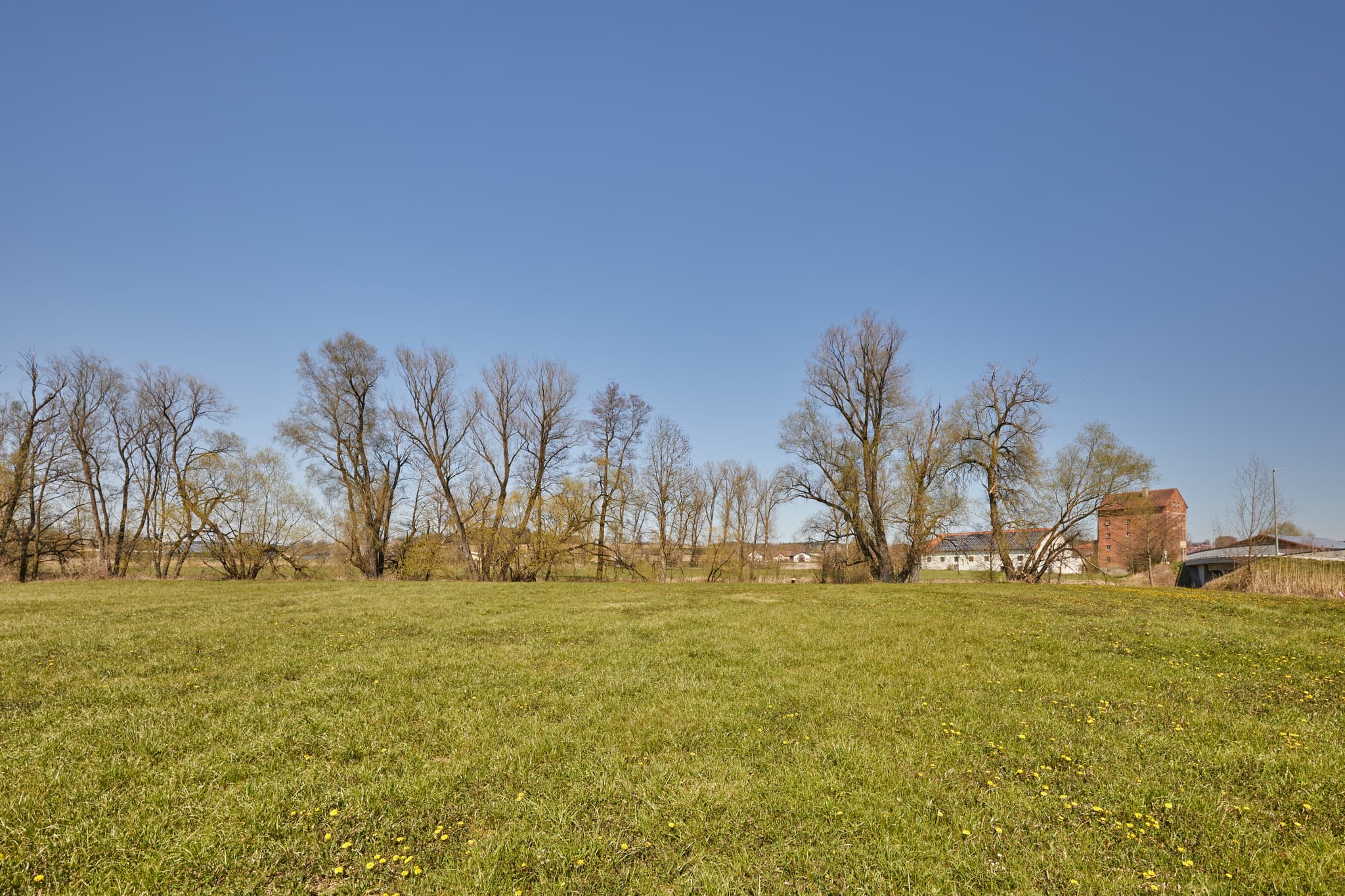 Landschaft an der Rott, Unterdietfurt, Rottal-Inn