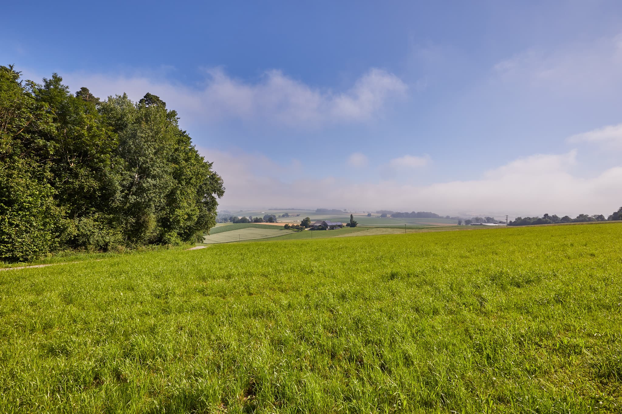 Landschaft Glatzberg Aussicht, Mühldorf am Inn, Oberbayern - Landschaftsaufnahme von Glatzberg Aussicht in Heldenstein, Mühldorf am Inn, Oberbayern. Felder und Bäume prägen die Inn-Salzach Region in Deutschland.