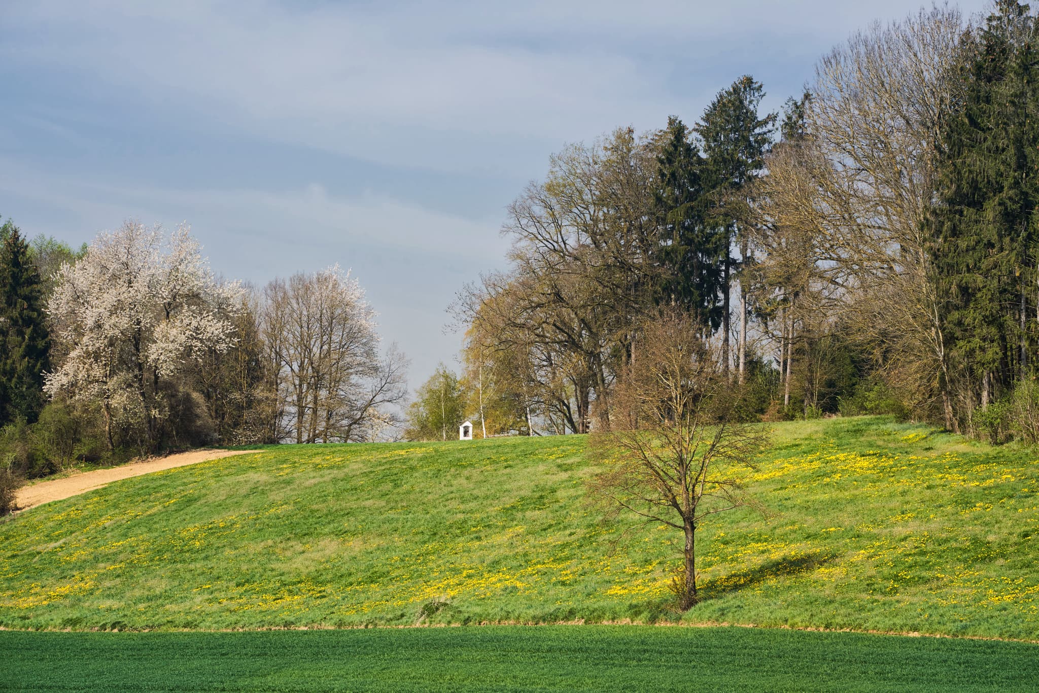 Landschaft Mettenheim, Mühldorf Inn, Oberbayern, Inn-Salzach - Kirchisen Landschaft in Mettenheim, Landkreis Mühldorf am Inn, Oberbayern, Deutschland. Eine idyllische Szene in der Region Inn-Salzach.