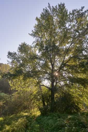 Landschaft Pilgerweg, Steinhöring Isen, Altötting
