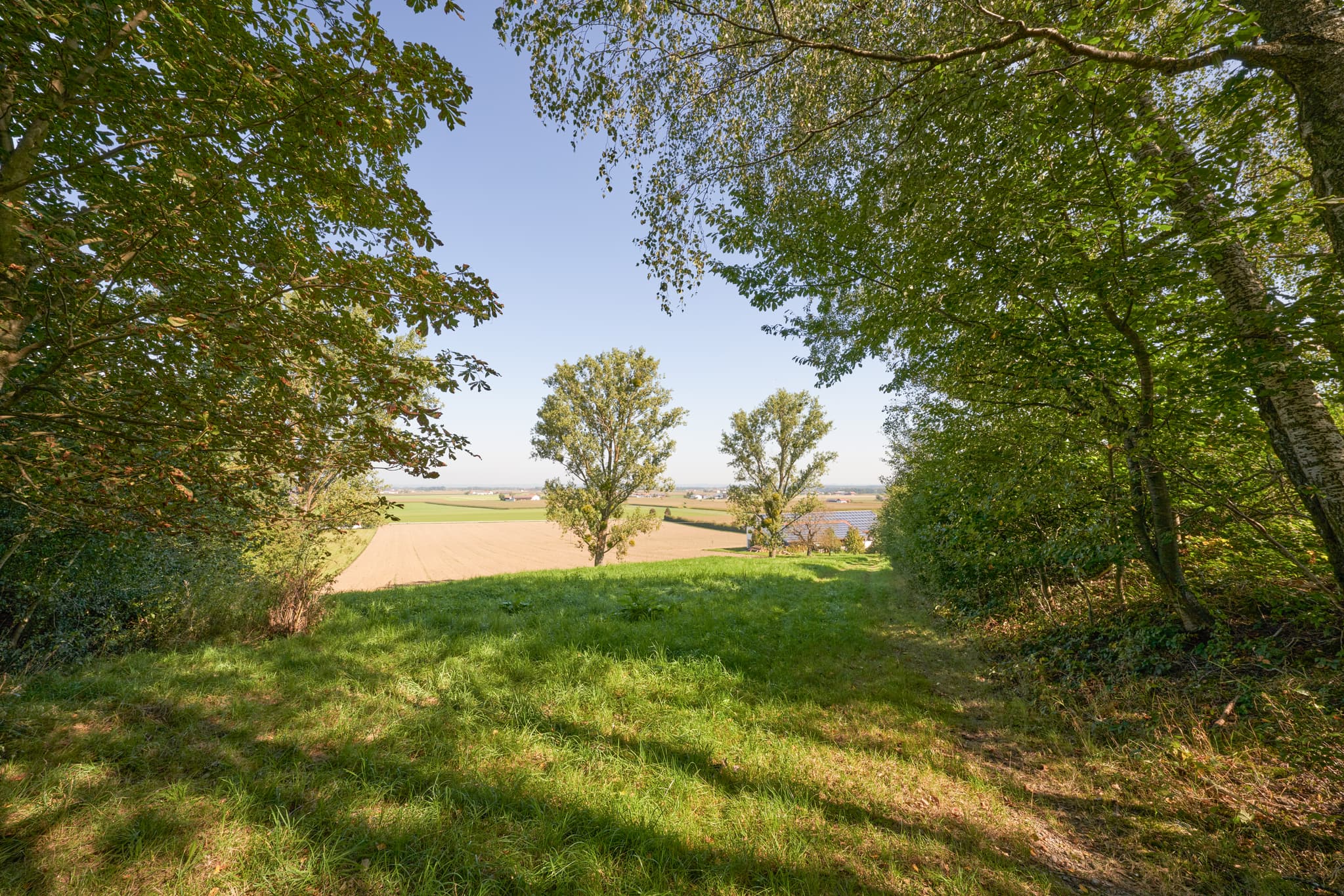 Landschaft, St.-Rupert-Pilgerweg Berger a. Brunn, Altötting - Landschaftsbild vom St.-Rupert-Pilgerweg Berger a. Brunn bei Kastl, Landkreis Altötting, Oberbayern. Felder in der Region Inn-Salzach, Deutschland.