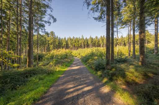 Landschaft Wanderweg 2, Guteneck nach Lapperding, Rottal-Inn