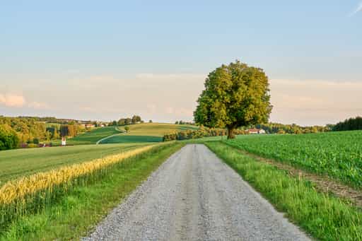 Landstraße nach Birnbach, Erlbach, Altötting, Oberbayern