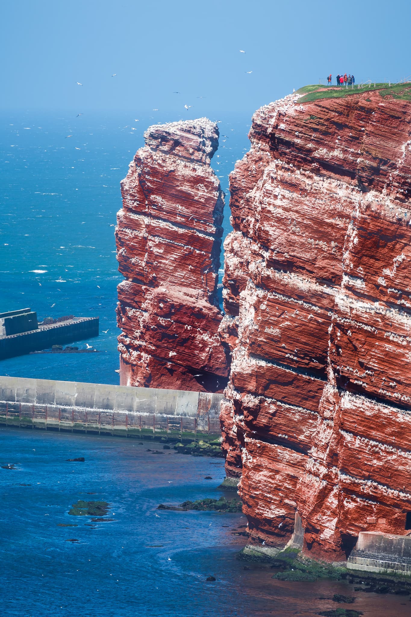 Lange Anna, Helgoland, Kreis Pinneberg, Schleswig-Holstein - Die Lange Anna, und die Lummenfelsen prägen die Küste Helgolands. Wahrzeichen der Nordseeinsel, Kreis Pinneberg, Schleswig-Holstein, Nordseeküste Deutschlands.