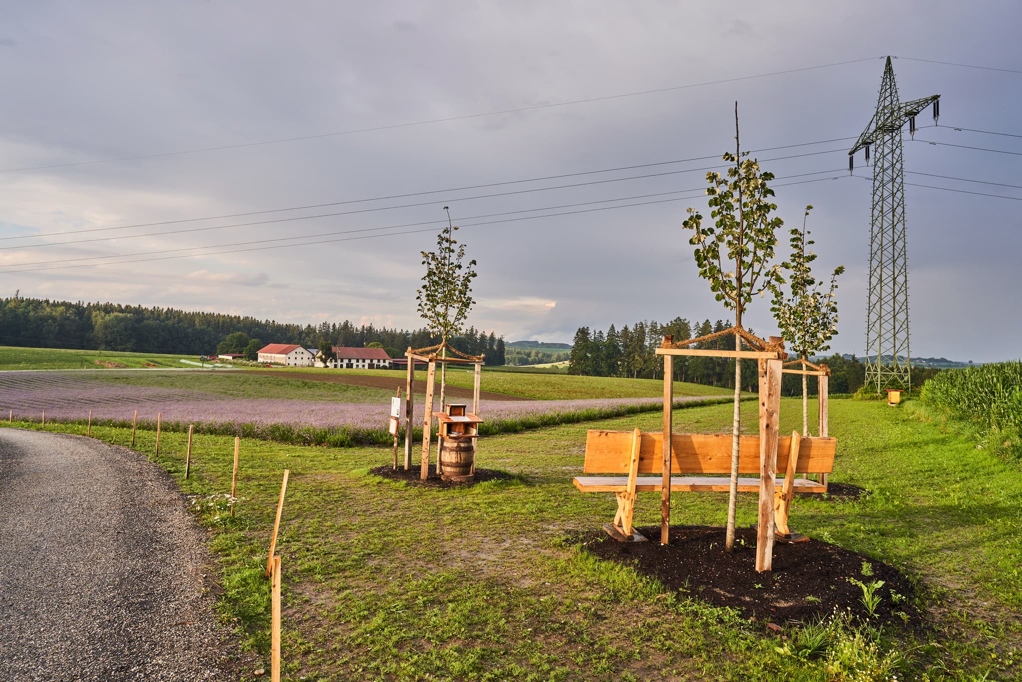 Lavendelfeld mit Strommasten, Adlstraß, Erding, Oberbayern - Lavendelfeld in Adlstraß, Gemeinde Dorfen, Landkreis Erding, Oberbayern. Regenbogen und Strommast prägen die Szenerie vor dunklen Wolken im Erdinger Land.