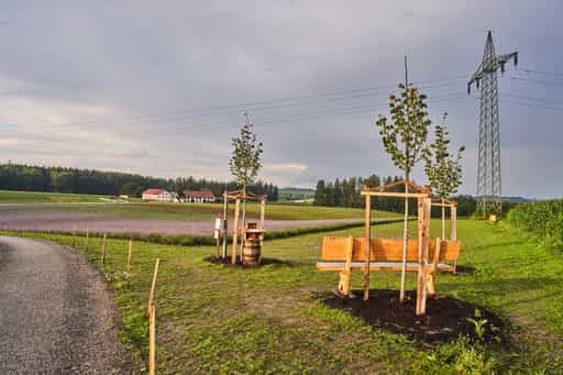 Lavendelfeld mit Strommasten, Adlstraß, Erding, Oberbayern