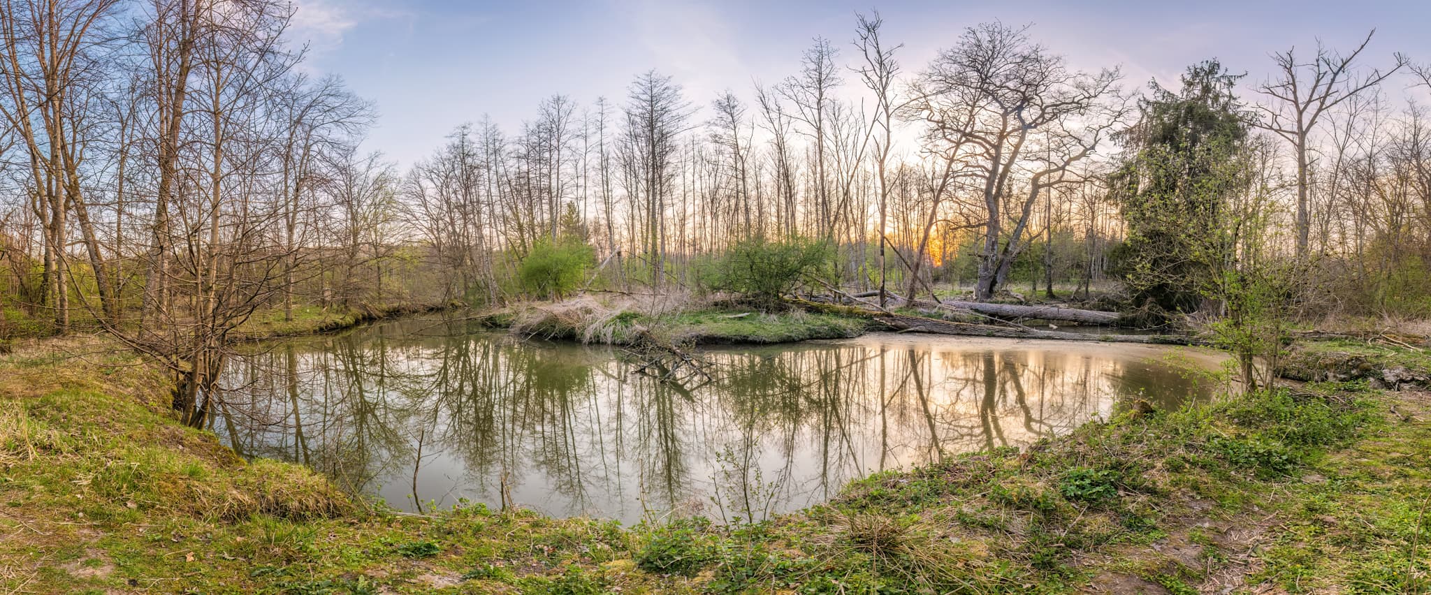 Lichtlberger Wald, Geratskirchener Bach, Gern, Rottal-Inn - Geratskirchener Bach im Lichtlberger Wald bei Gern, Eggenfelden, Rottal-Inn, Niederbayern, Deutschland. Panorama der Holzland-Region in Bayern.