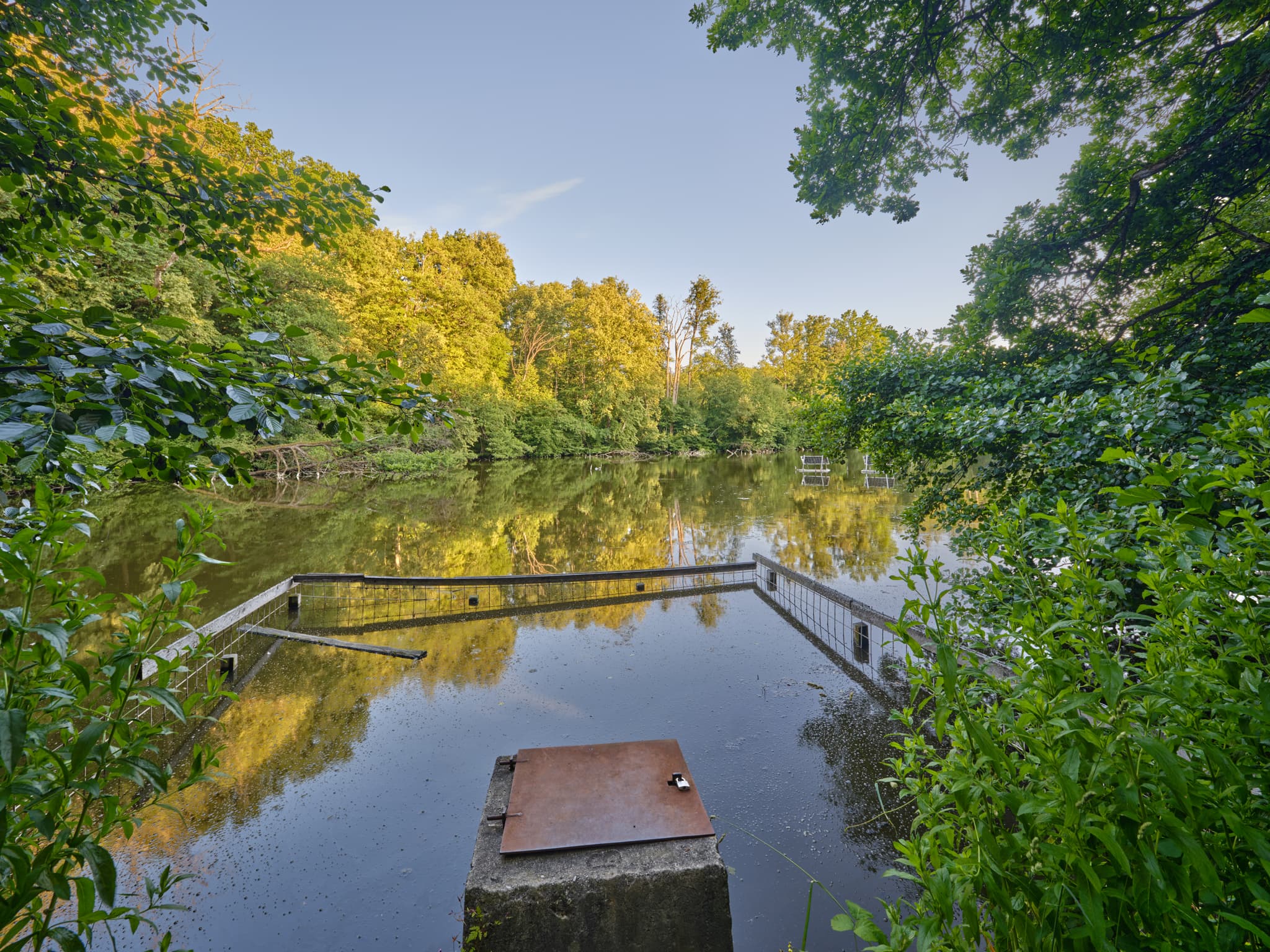Lichtlberger Wald, Gern, Eggenfelden, Niederbayern, Holzland - Idyllischer Teich im Lichtlberger Wald, Eggenfelden, Niederbayern. Grüne Natur des Holzlands Rottal-Inn umgibt das Gewässer, dessen Oberfläche Bäume spiegelt.