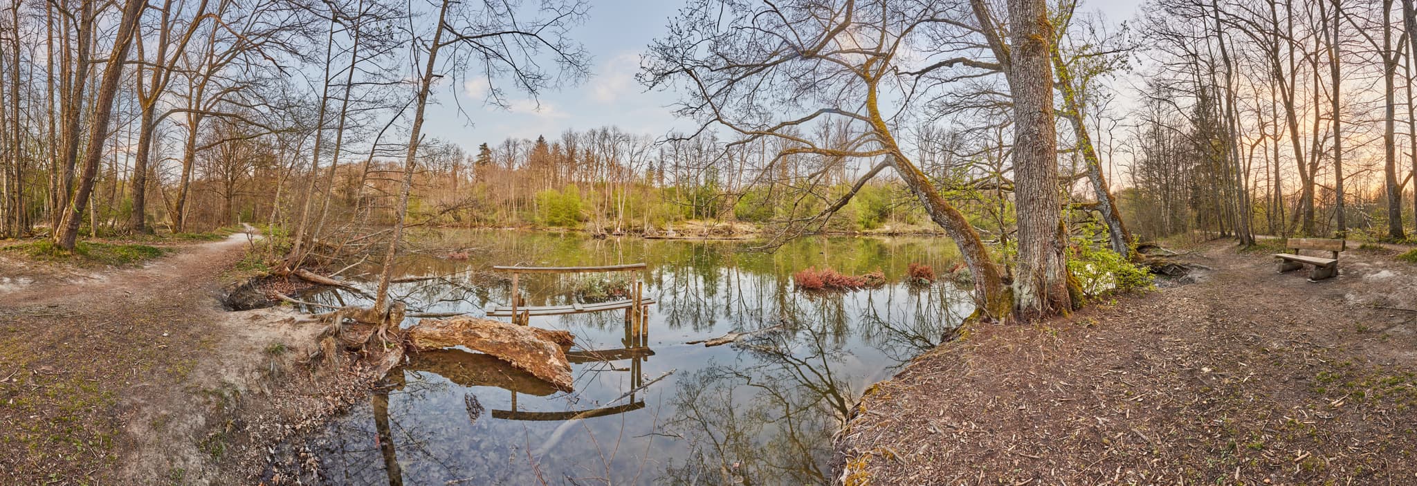 Lichtlberger Wald, Gern, Eggenfelden, Rottal-Inn - Panorama vom Lichtlberger Wald in Gern, Eggenfelden im Rottal-Inn, Niederbayern. Waldsee, umgeben von Bäumen, Spazierweg. Naturoase im Holzland, Deutschland.