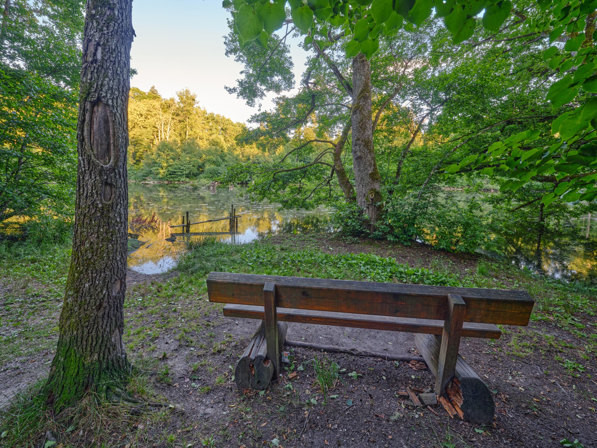 Lichtlberger Wald, Gern, Rottal-Inn, Niederbayern, Holzland - Idyllische Szenerie am Waldrand mit See und Sitzbank bei Gern, Eggenfelden im Landkreis Rottal-Inn, Niederbayern. Ein ruhiger Ort im Holzland mit üppiger Natur.