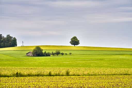 Linde Aussicht Landschaft in Rainbichl, Altötting