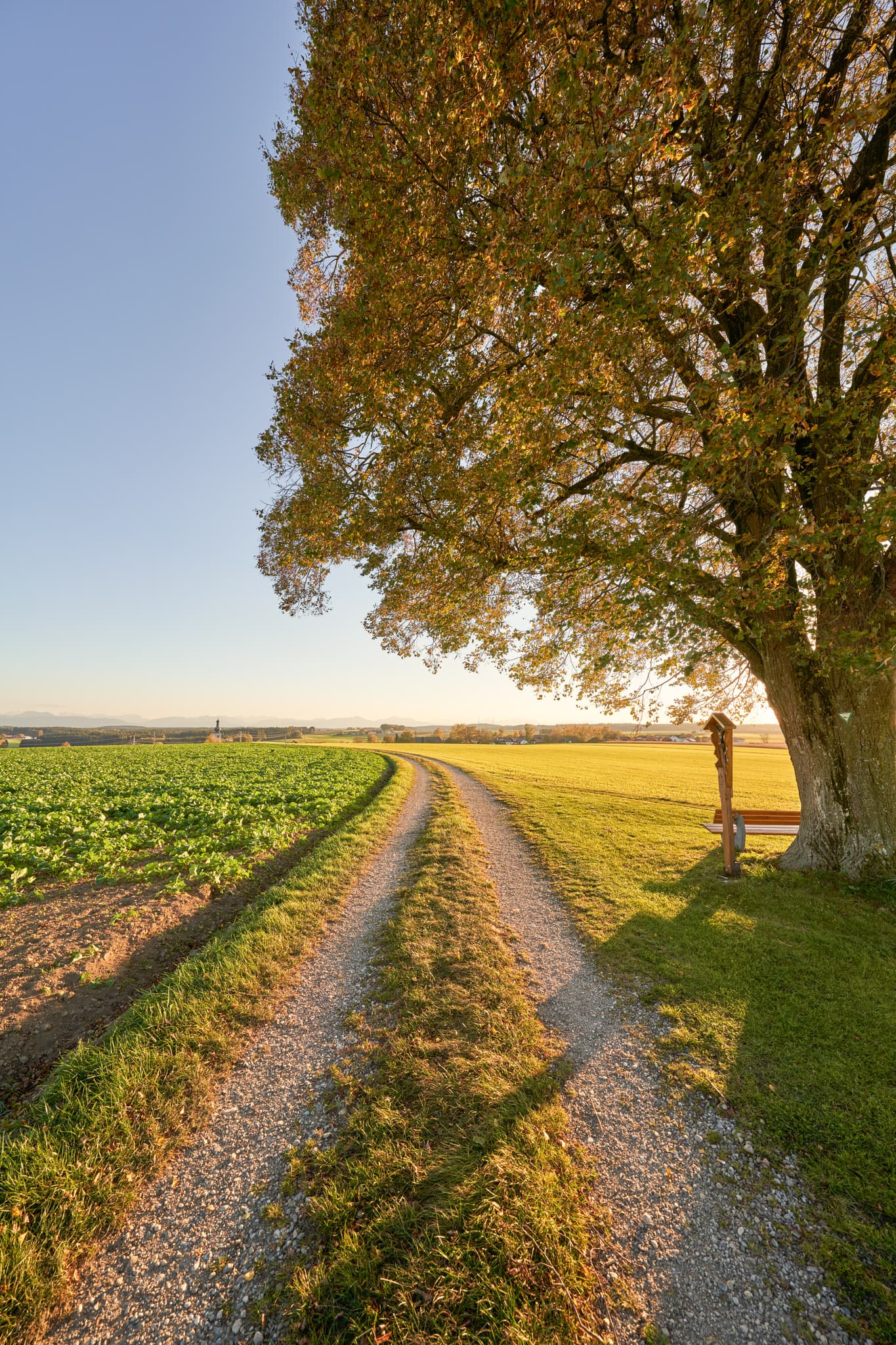 Linde Aussicht, Rainbichl, Tyrlaching, Altötting, Oberbayern - Feldweg in Rainbichl, Tyrlaching, Altötting, Oberbayern, Deutschland. Die Region Inn-Salzach zeigt eine weite Landschaft mit Feldern und Linde.