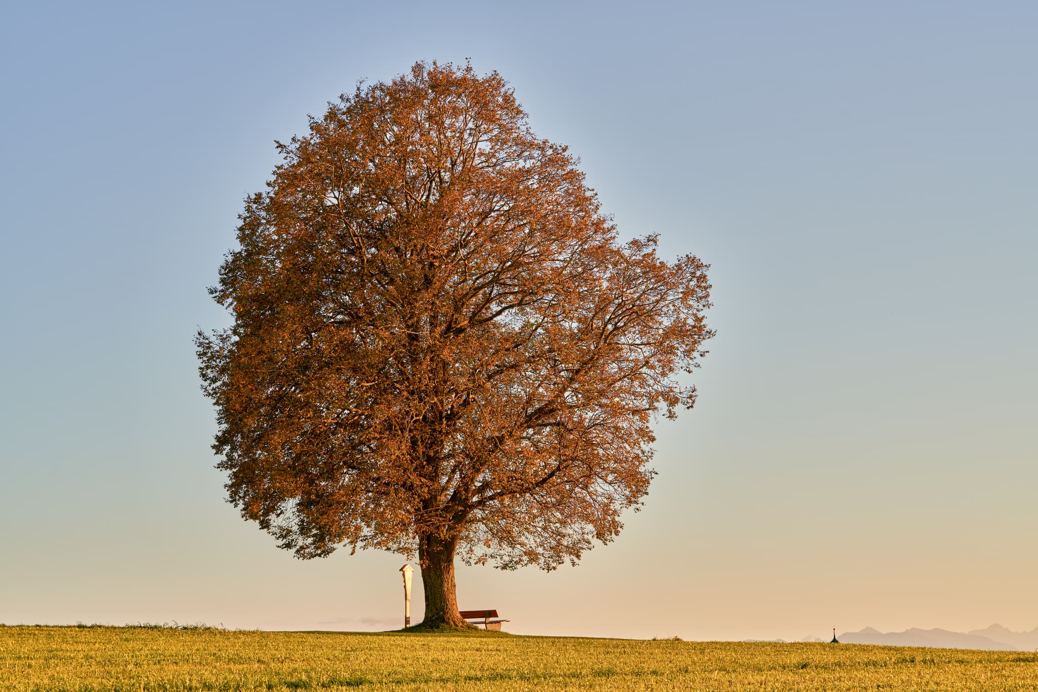 Linde Aussicht, Rainbichl, Tyrlaching, Altötting, Oberbayern - Linde mit Sitzbank in Rainbichl, Tyrlaching, Landkreis Altötting, Oberbayern. Charakteristische Landschaft der Region Inn-Salzach, Deutschland.