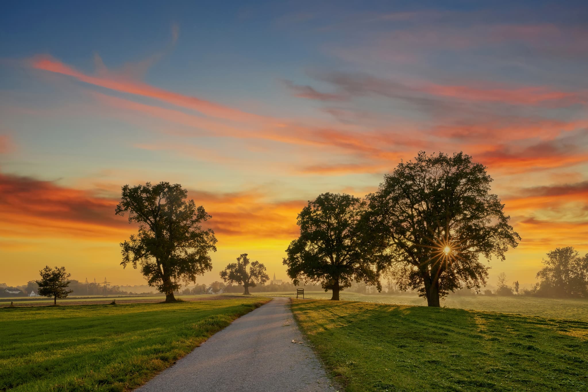Lohwimm Eichen, Neuötting, Altötting, Inn-Salzach - Idyllisches Sonnenaufgangsfoto von Lohwimm Eichen bei Neuötting im Landkreis Altötting, Regierungsbezirk Oberbayern, Region Inn-Salzach, Deutschland.