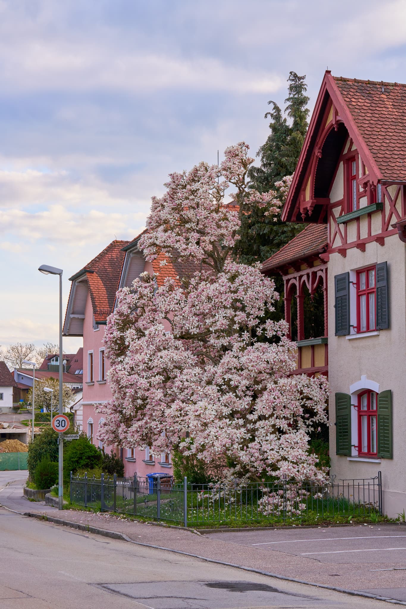 Magnolie an der Hauptstraße, Bad Griesbach, Landkreis Passau - Statue Dr. Med. Carpar Wimmer in Bad Griesbach, Landkreis Passau, Niederbayern, Bayern, Deutschland. Das Bild zeigt die Statue in einer städtischen Umgebung.