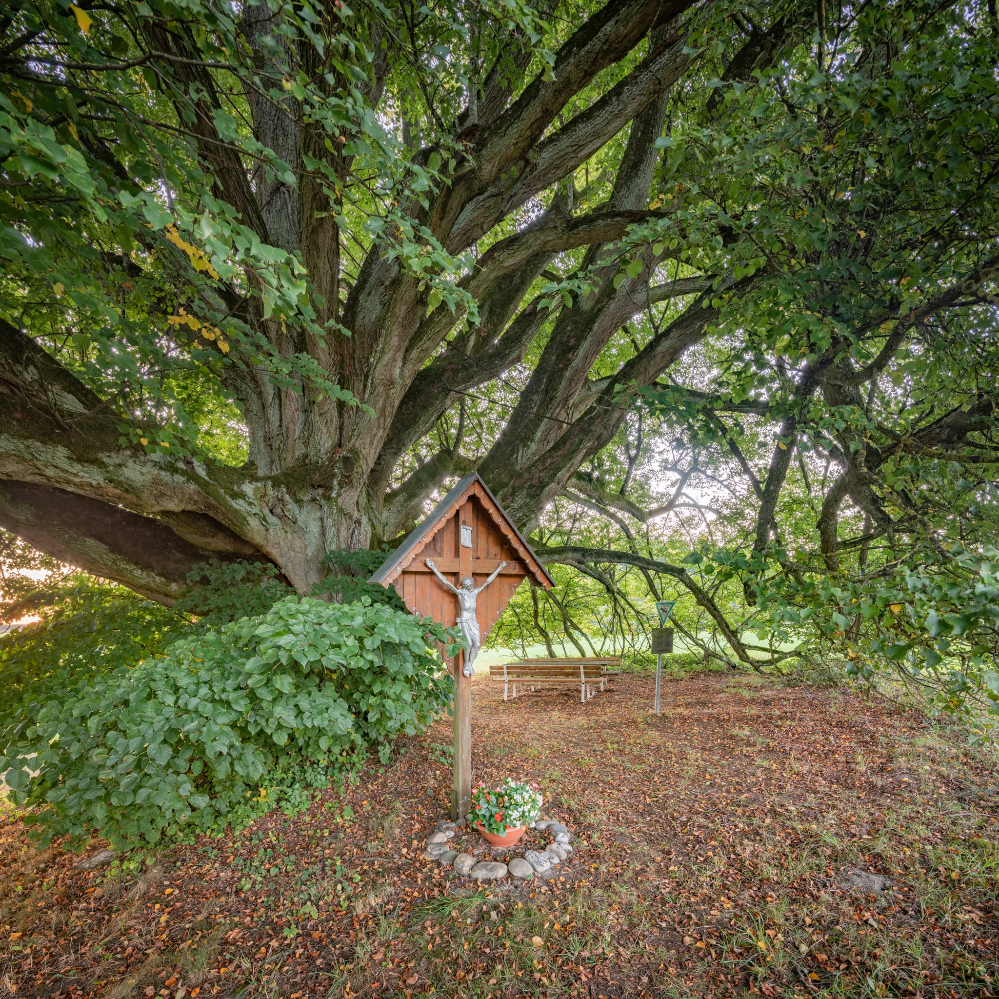 Marterl an der Kriering Linde, Wittibreut, PAN, Niederbayern - Marterl unter mächtiger Kriering Linde, Wittibreut, Landkreis Rottal-Inn, Niederbayern. Ländliche Szene im Bäderdreieck, Deutschland, prägt die Umgebung.