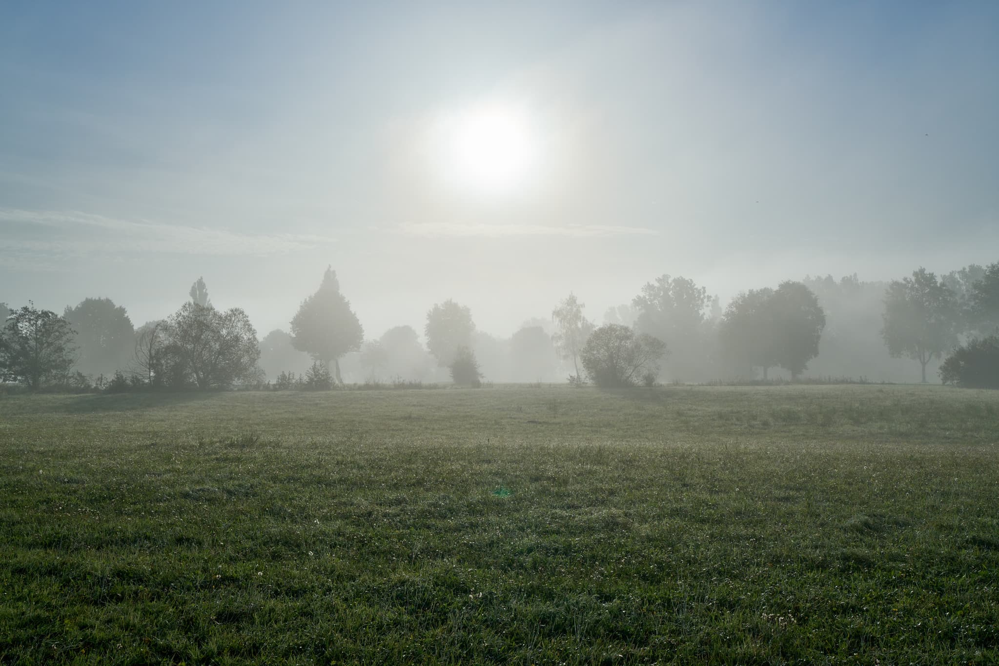Morgennebel am Golfplatz im Herbst, Rottal-Inn, Niederbayern - Ansicht einer Kirche in Postmünster, Rottal-Inn, Niederbayern, eingehüllt in dichten Morgennebel. Eine ländliche Szene im Holzland.