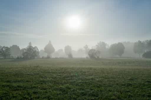 Morgennebel am Golfplatz im Herbst, Rottal-Inn, Niederbayern