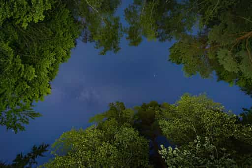 Nachthimmel, an Bertenöder Kapelle, Stubenberg, Rottal-Inn